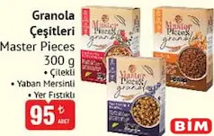MASTER PİECES GRANOLA ÇEŞİTLERİ 300 G fiyat ve kampanya bilgisi